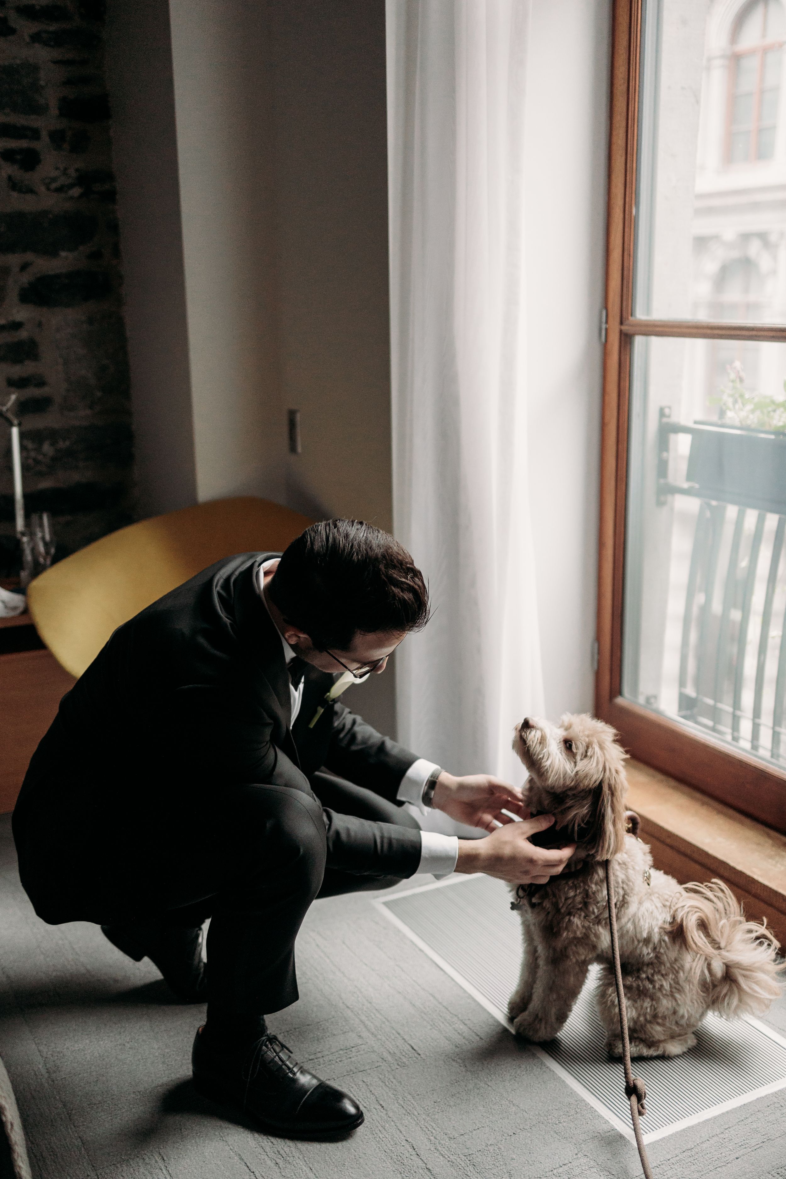 A person in black clothing plays with a fluffy cat near a bright window on a gray couch.