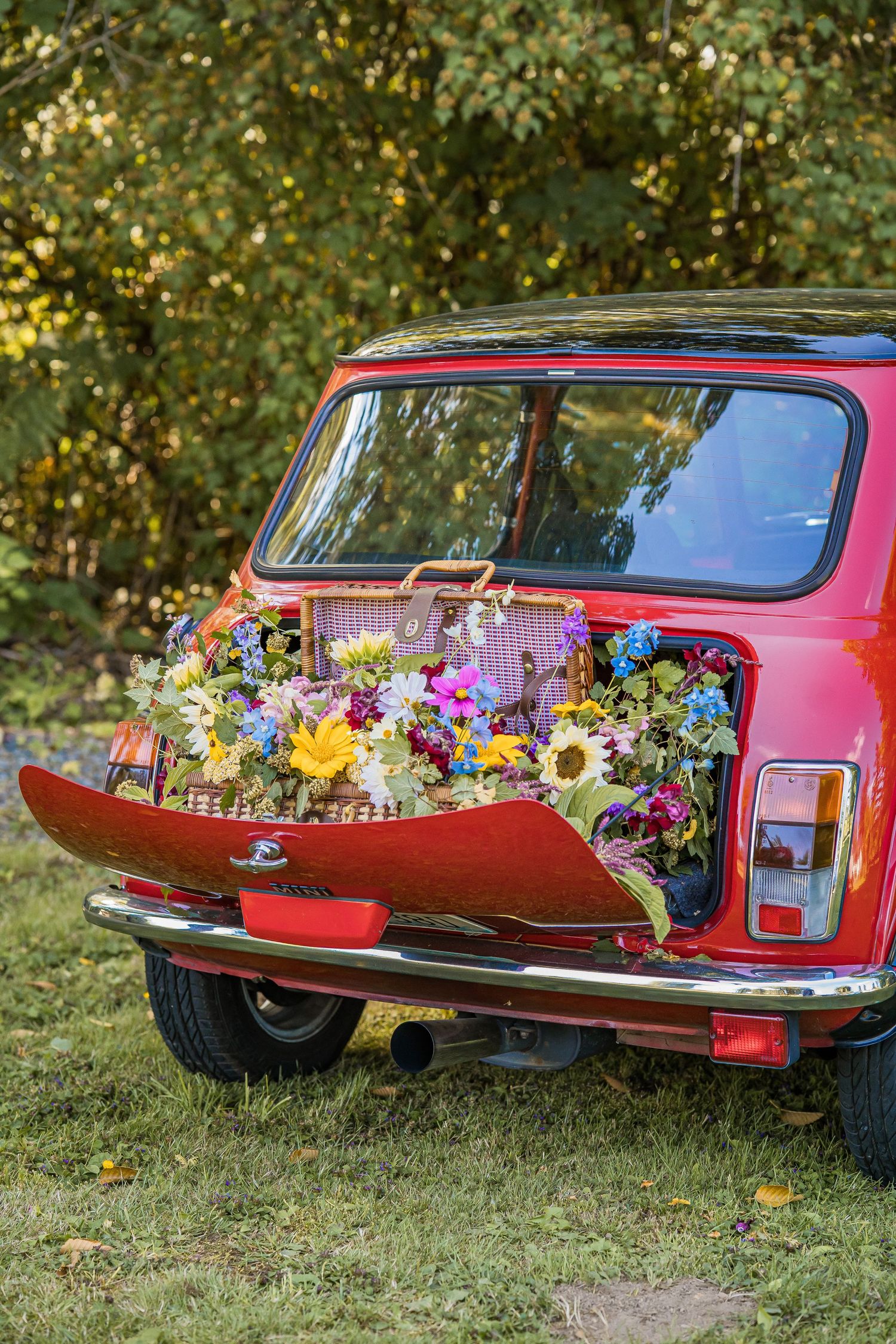styled photography senior mini session with red classic mini Cooper car and seasonal flowers