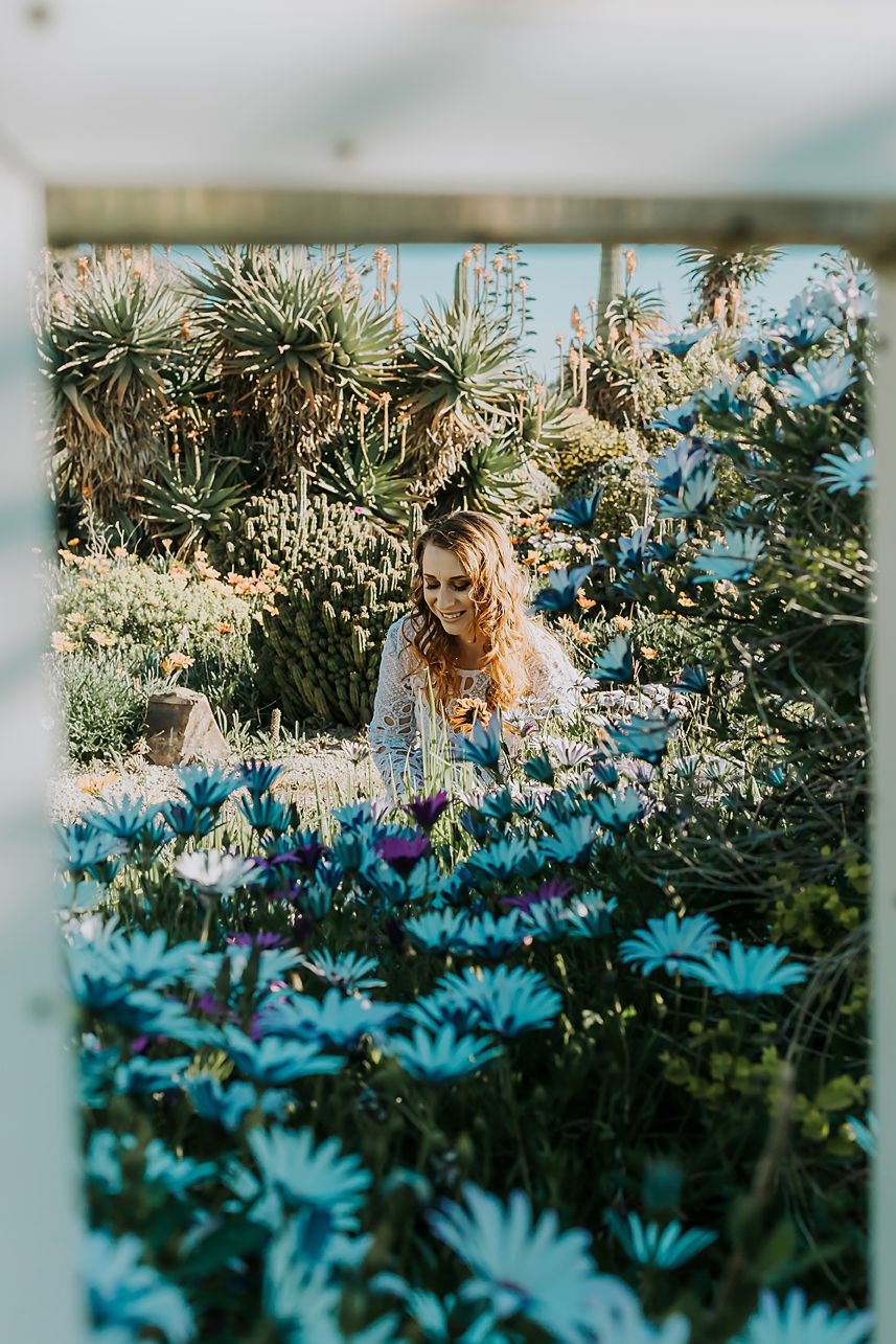 Dreamy garden scene with vibrant blue daisies and tropical plants in soft sunlight filtering through palm fronds.