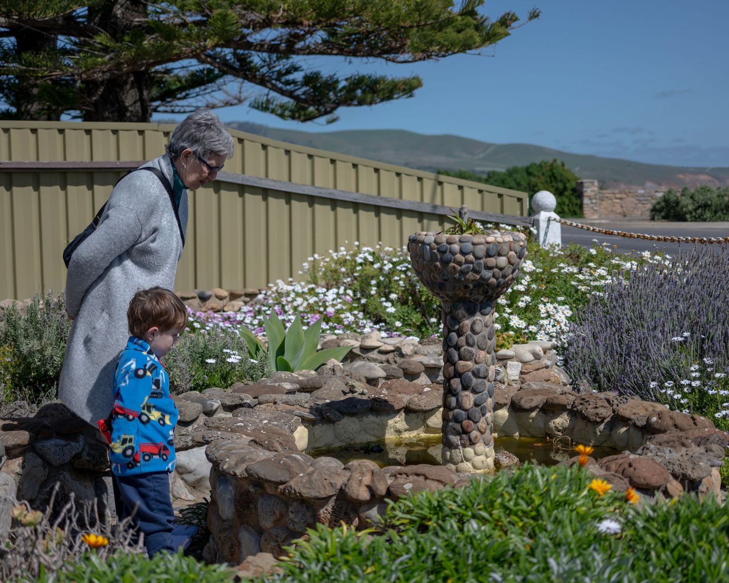 Grandmother and grandson looking into a fishpond