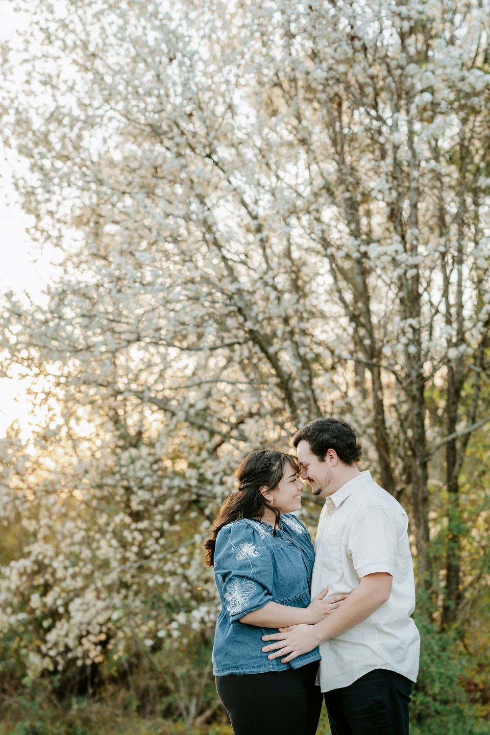 A couple shares tender moments beneath blooming cherry blossom trees in a romantic spring photoshoot.