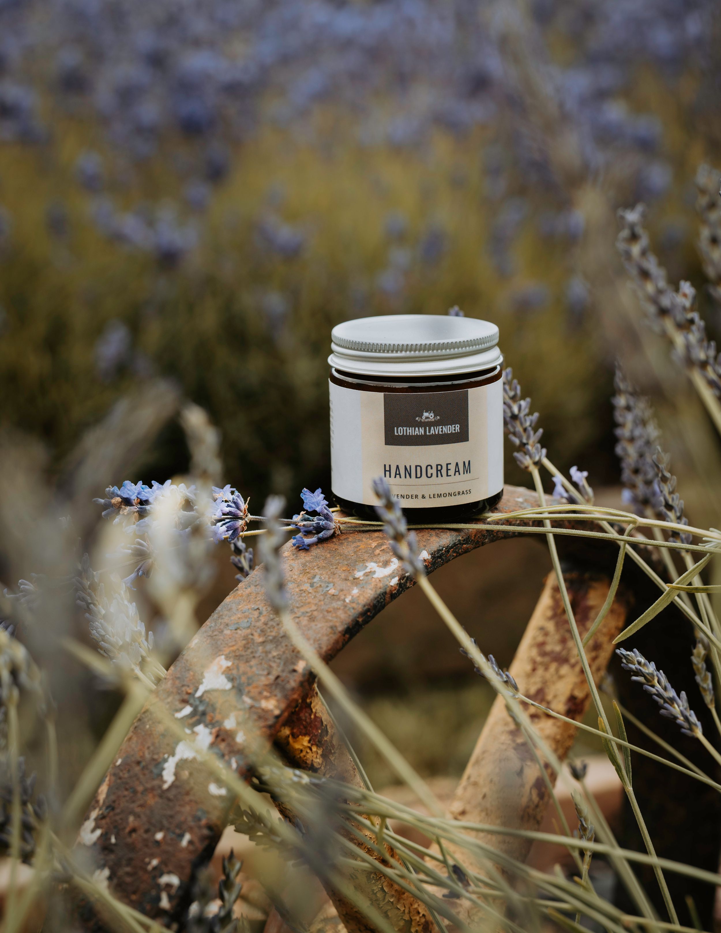 Lothian Lavender Business Branding Photography