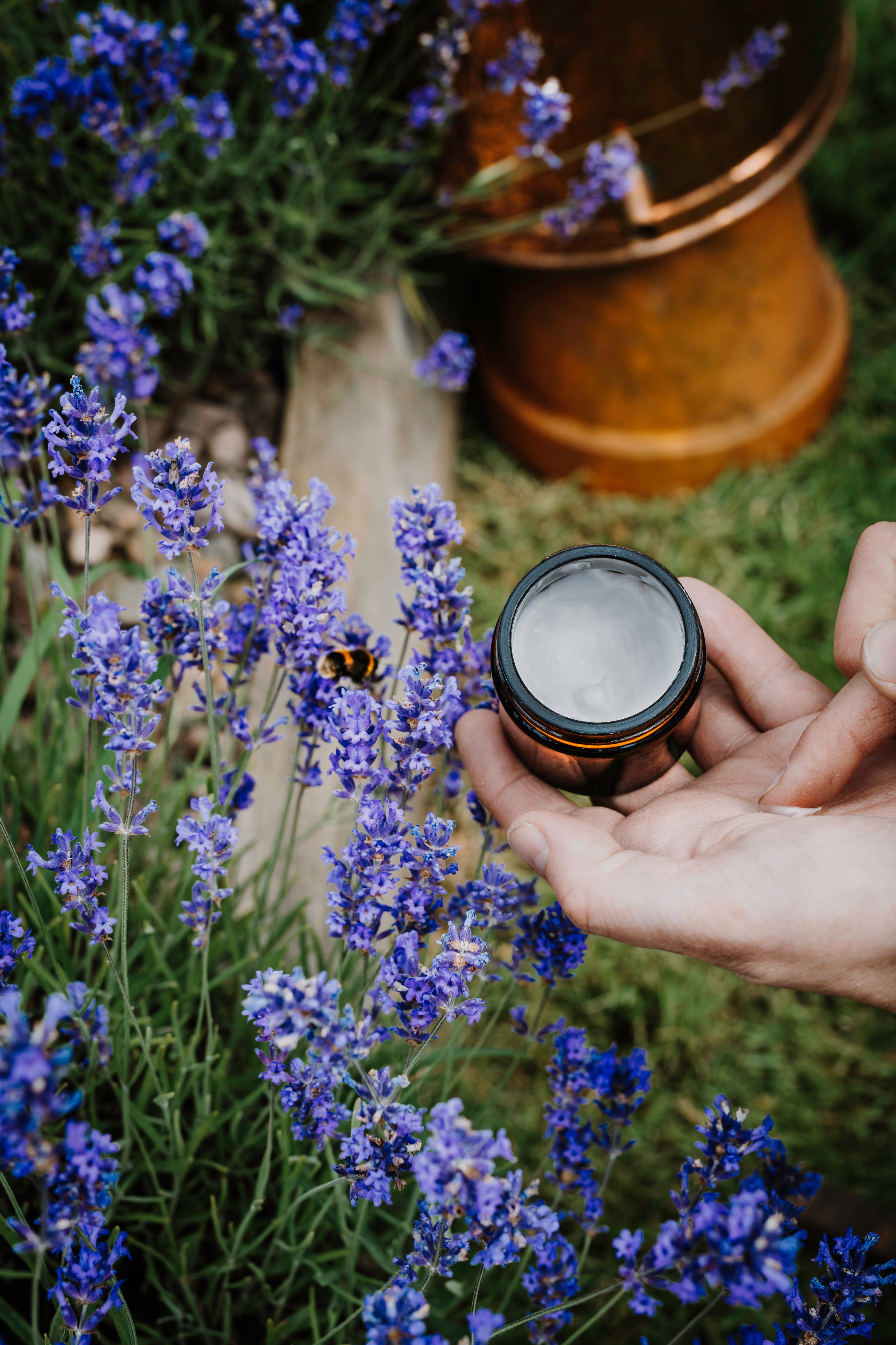 Lothian Lavender Business Branding Photography