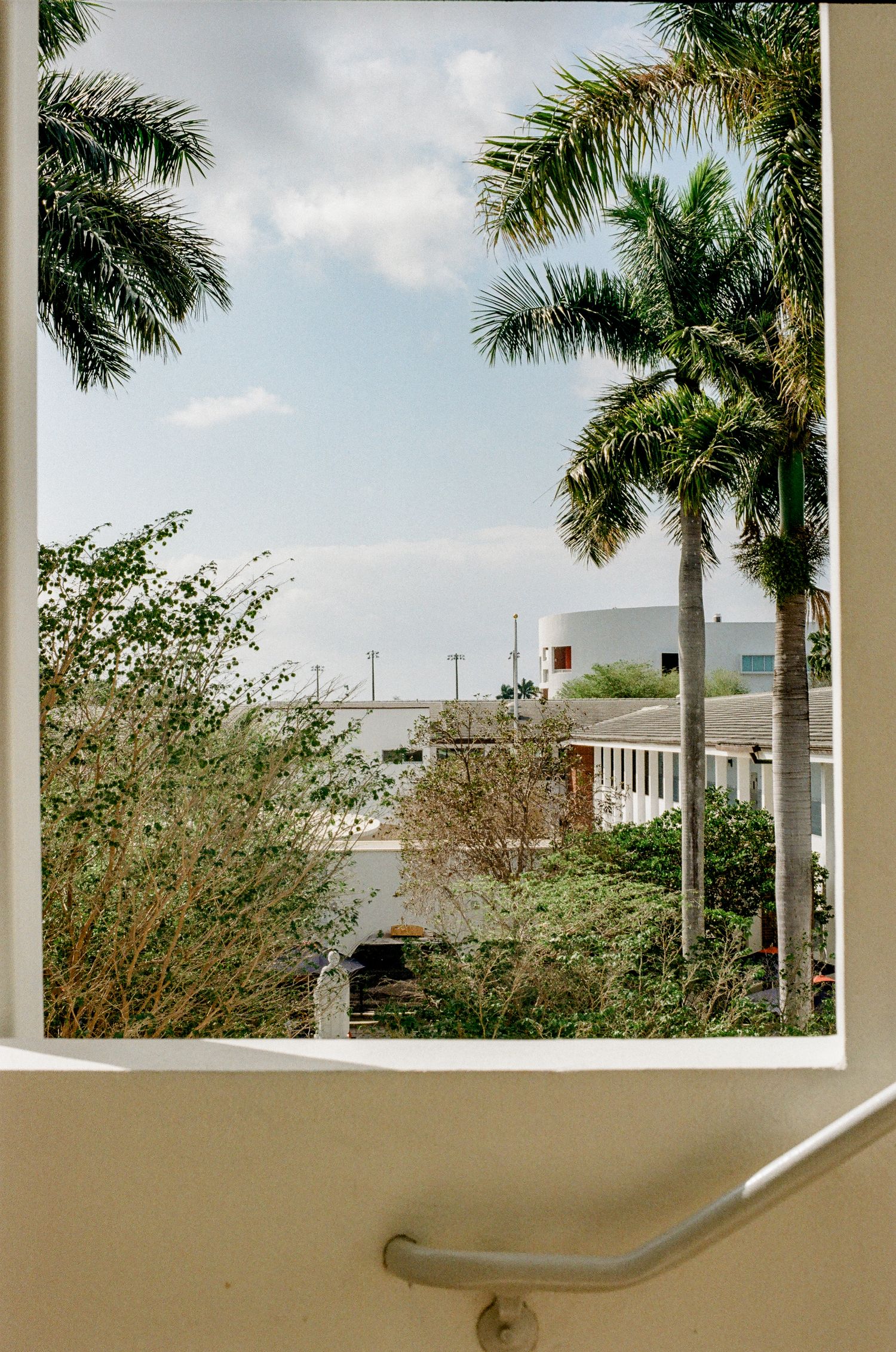 Tropical palm trees frame a white architectural structure with columns against a bright blue sky with puffy clouds.