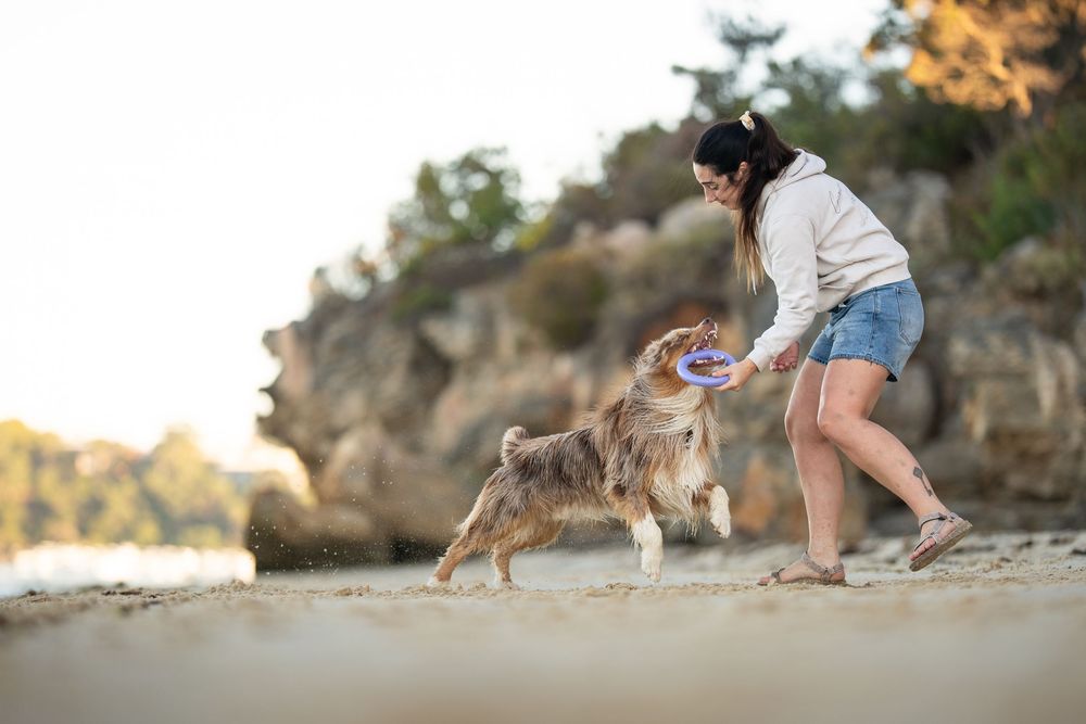 Woman playing with an Australian Shepherd dog on a sandy beach near rocky cliffs at sunset.