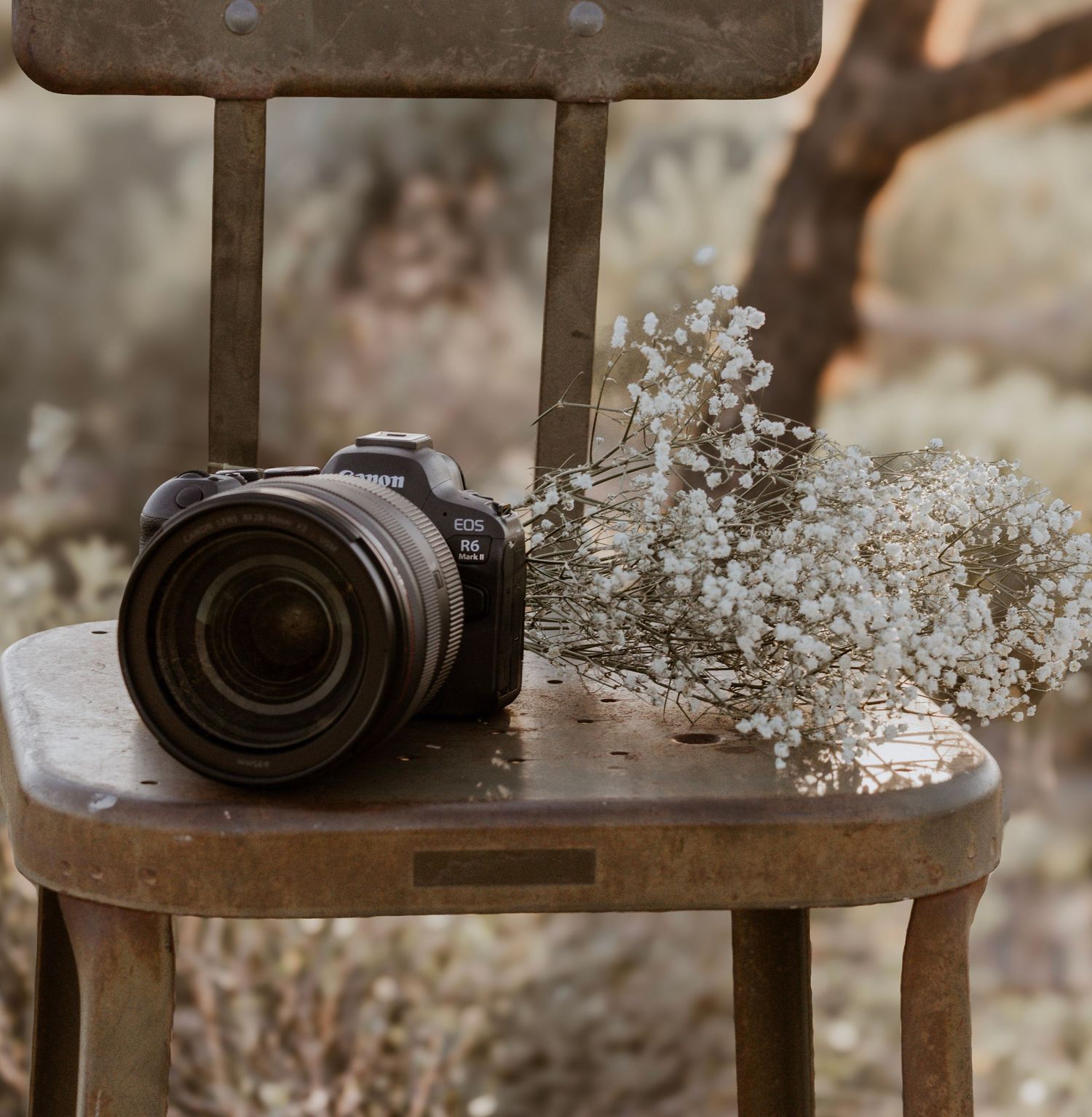"Phoenix Arizona Photographer using Canon camera in Arizona Desert with Cactus and Mountains at {Usery Mountain Regional Park} in Mesa"