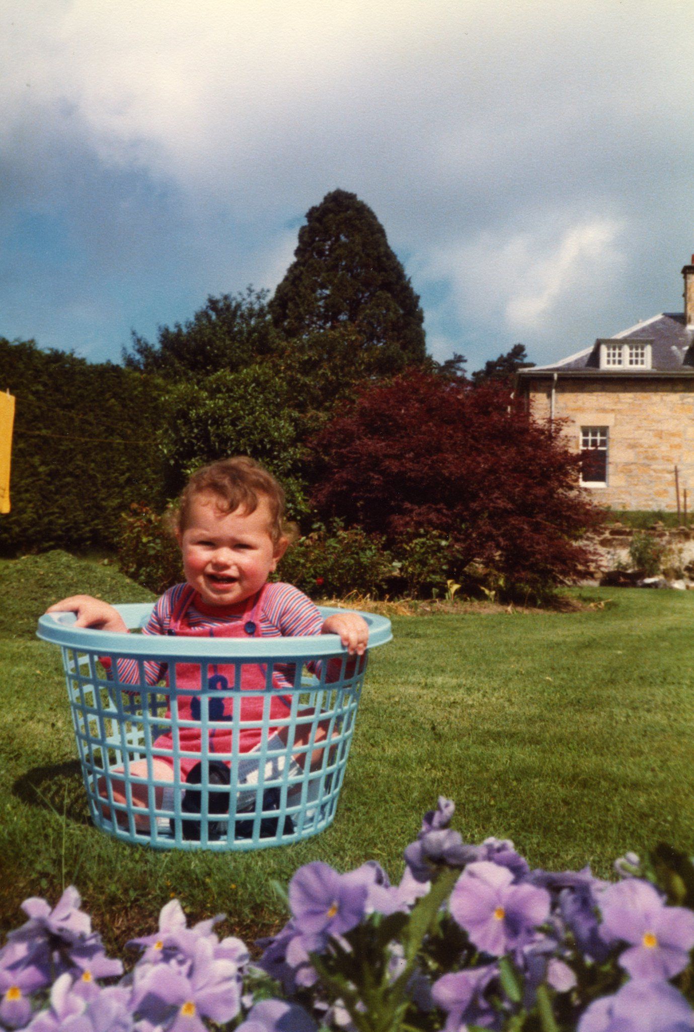 baby me in a wash basket in a green garden