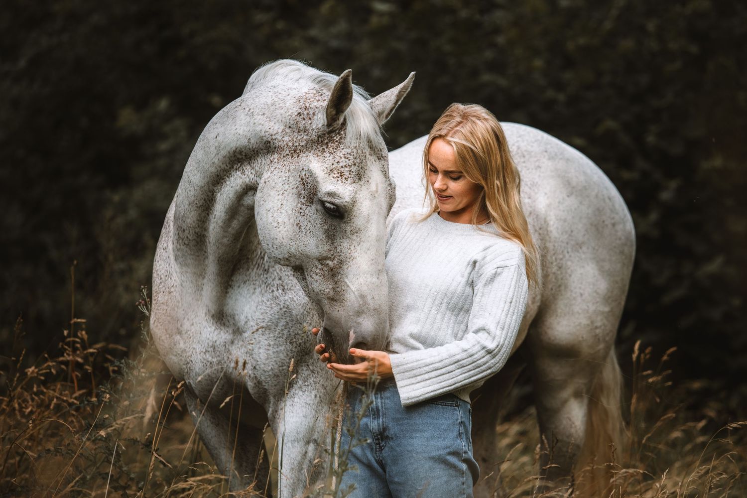A white horse and person in a white sweater share a gentle moment in a moody forest setting.