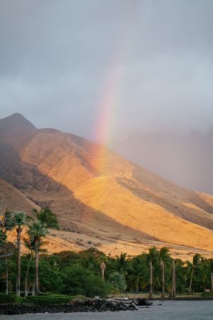A vibrant rainbow arches over golden sunlit mountains with lush palm trees along a tropical shoreline at sunset.