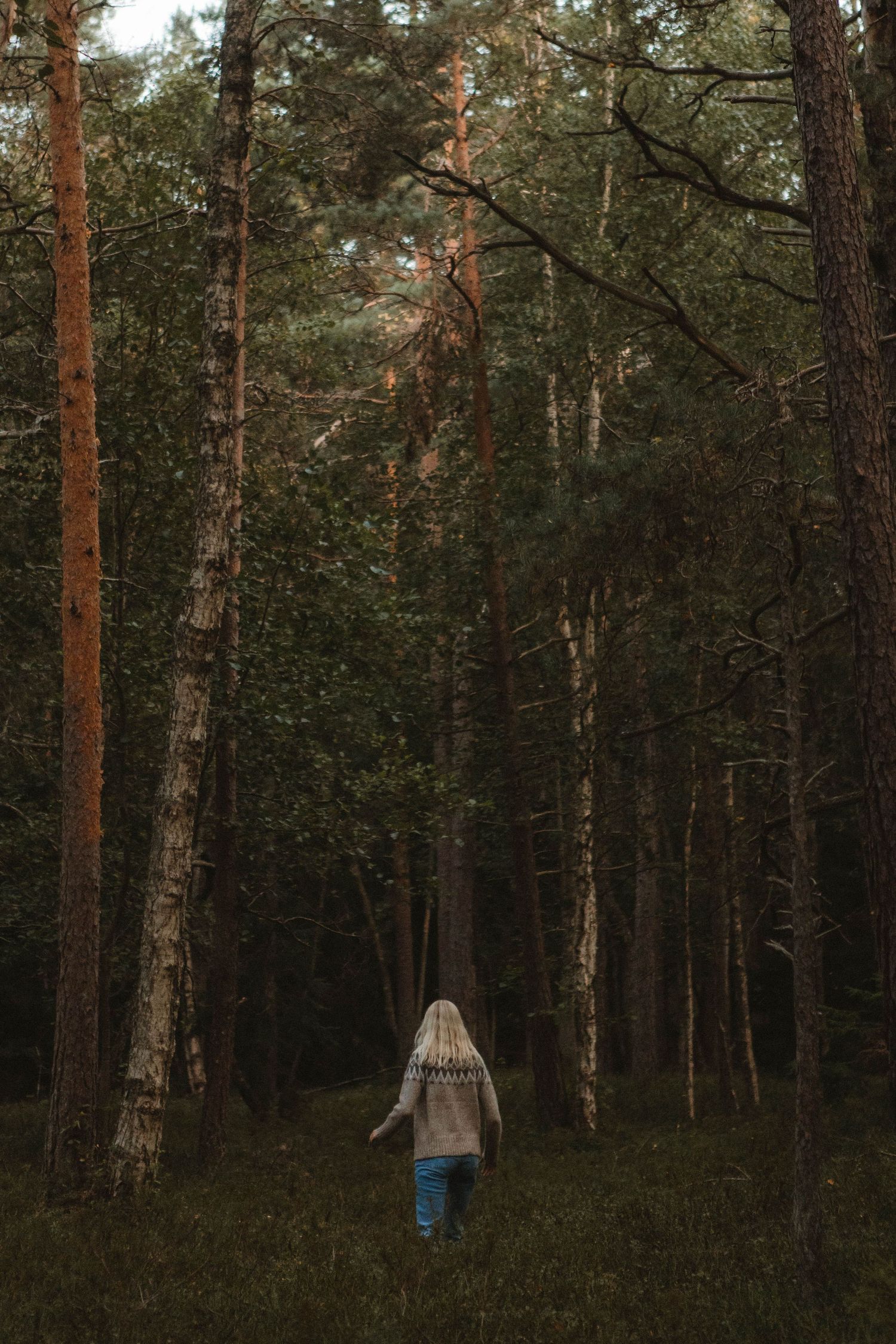 A solitary figure in a beige coat and jeans walks through a moody pine forest at dusk.