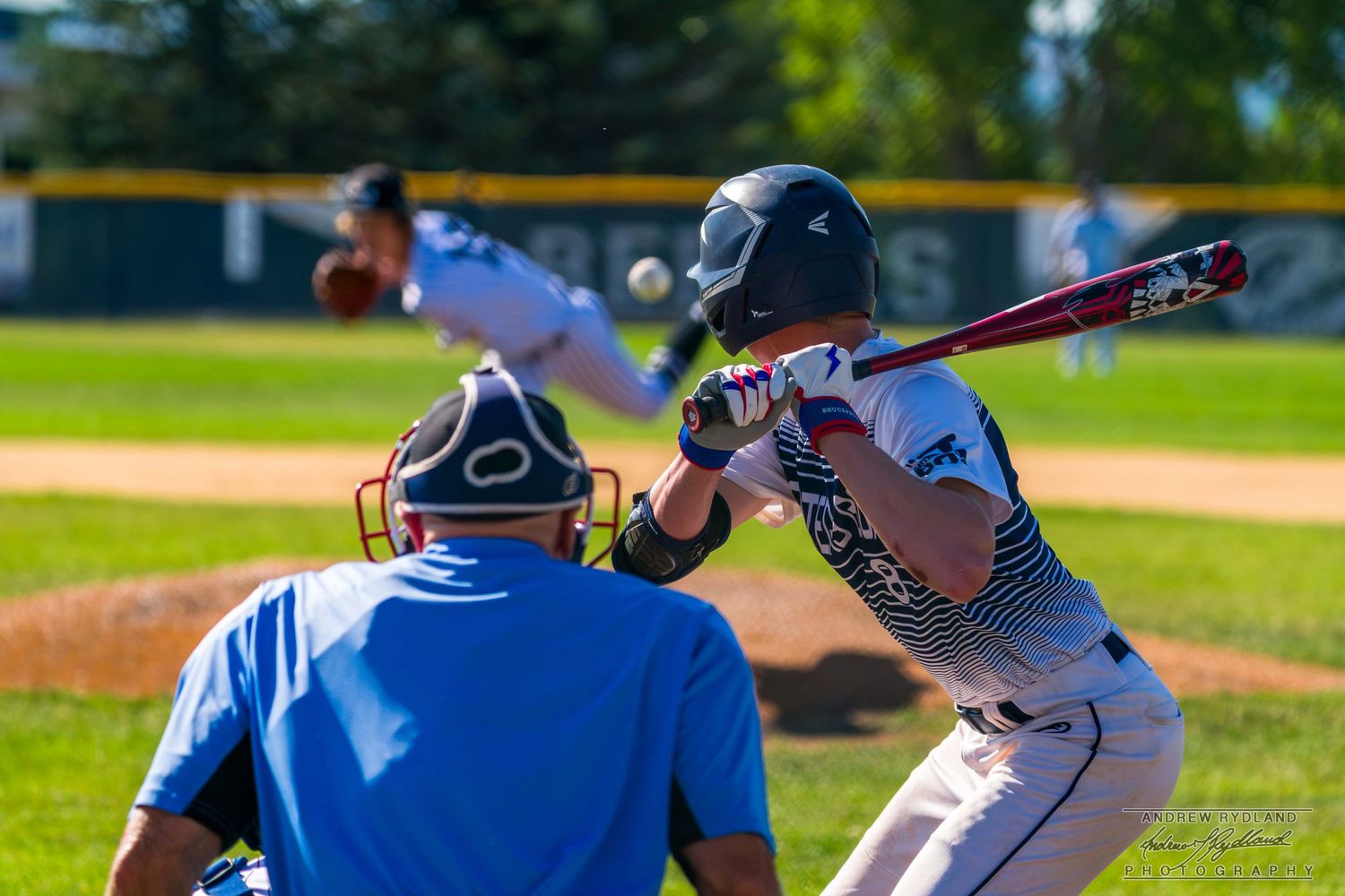 Baseball batter at the plate with catcher and umpire during a sunny day game.