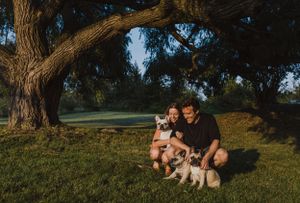 Trenton Ontario, Engagement Session, Belleville Photographer, Wedding Photographer, Elopement Photographer, Frenchies, Dog Photography