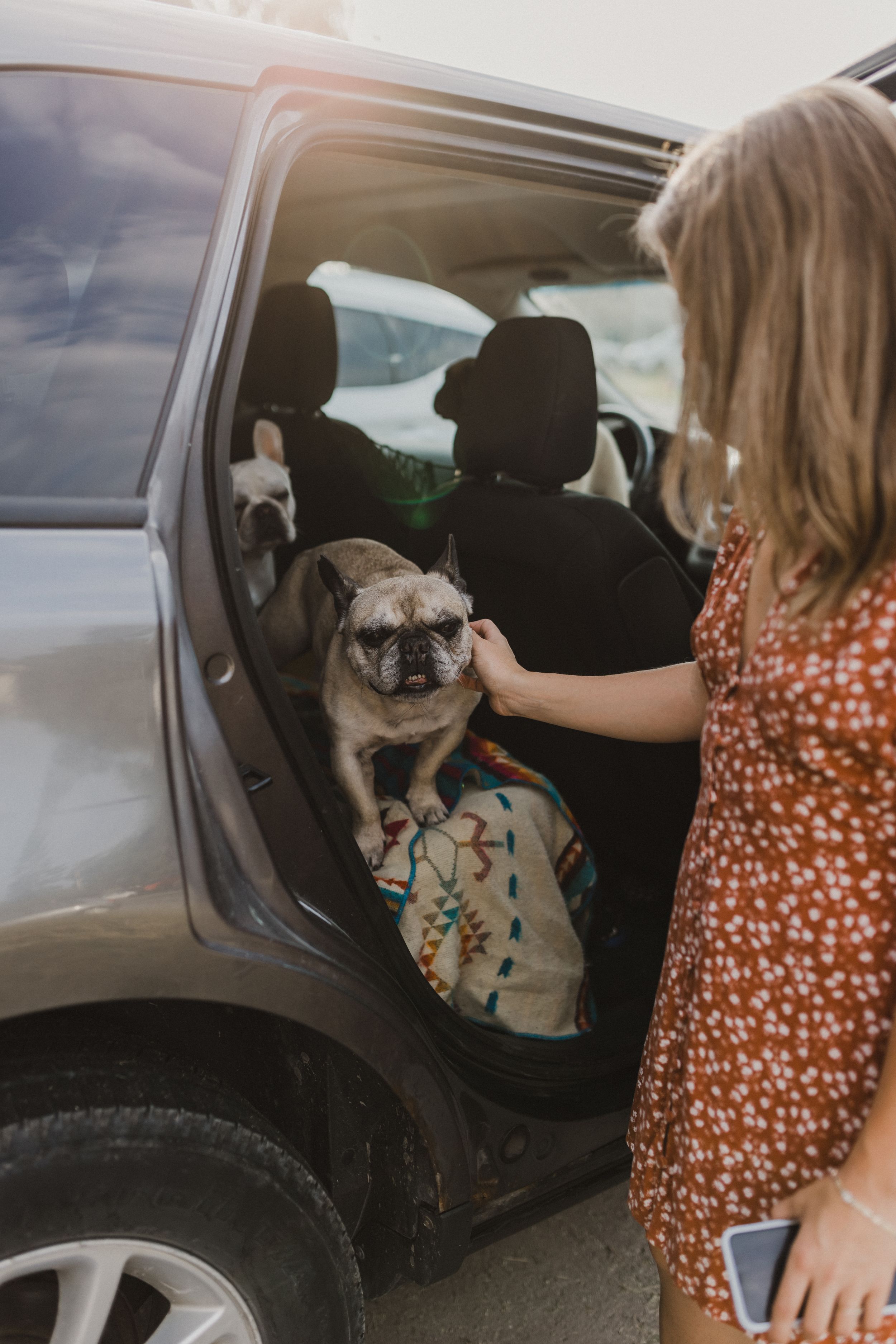 Trenton Ontario, Engagement Session, Belleville Photographer, Wedding Photographer, Elopement Photographer, Frenchies, Dog Photography