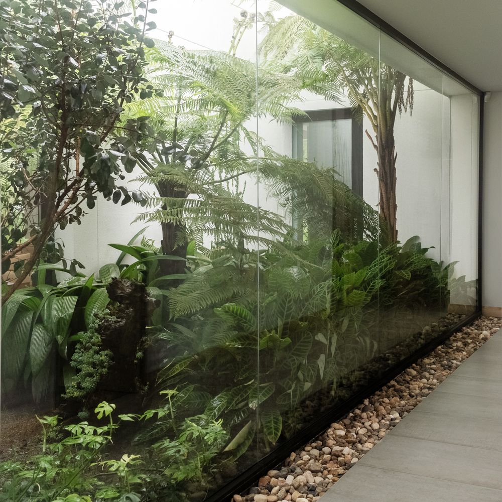 Indoor garden with lush tropical ferns and plants behind floor-to-ceiling glass wall with pebble border.