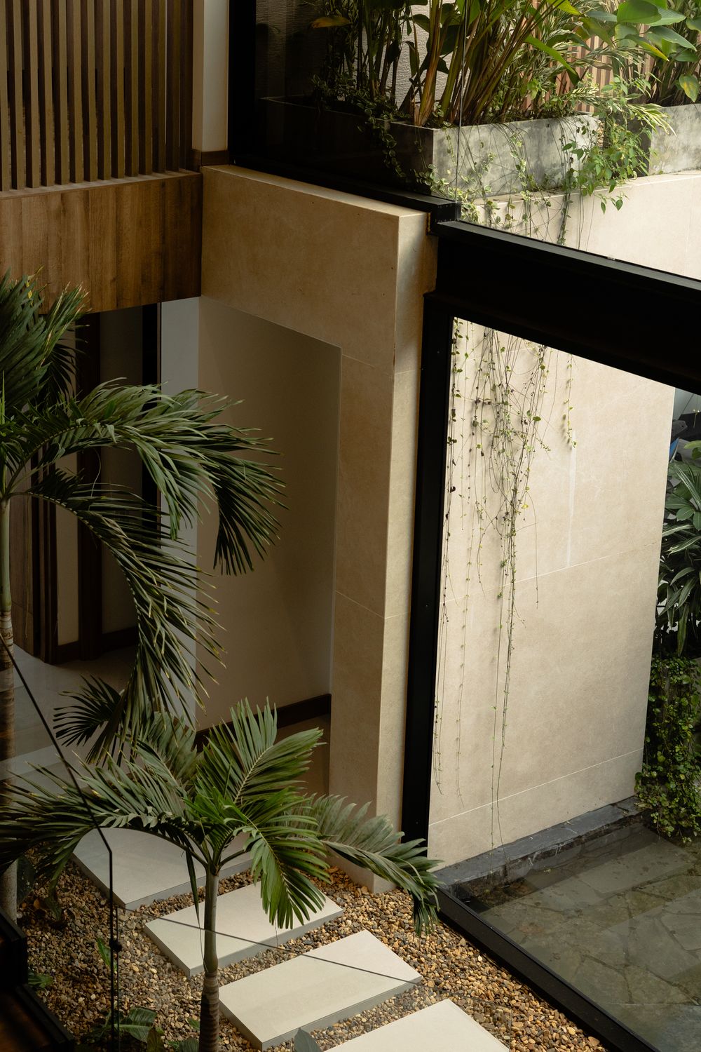 Modern tropical courtyard with palm trees, stone pathways, and beige walls surrounded by lush greenery.
