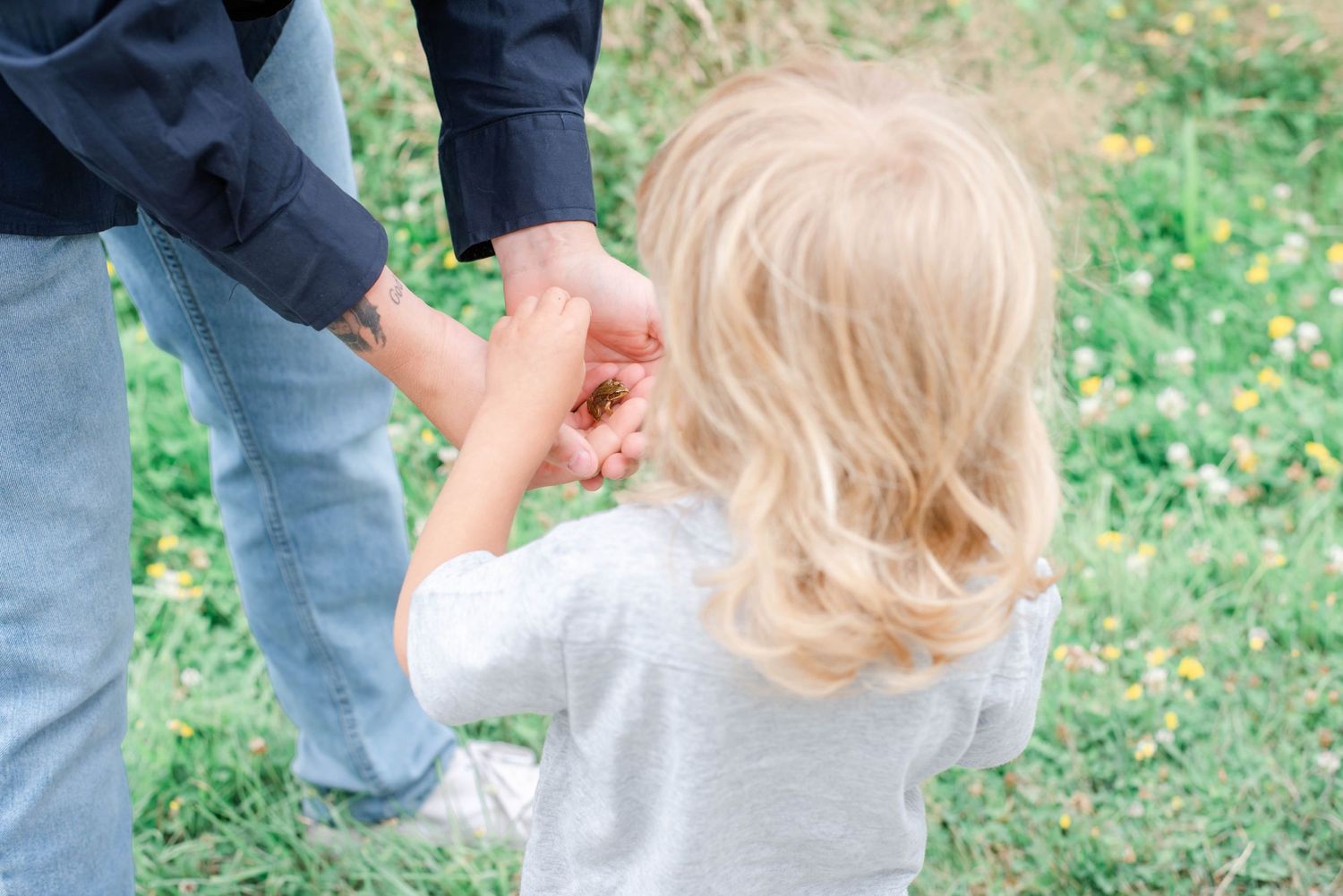 Joyful playtime between parent and toddler in sunny field.