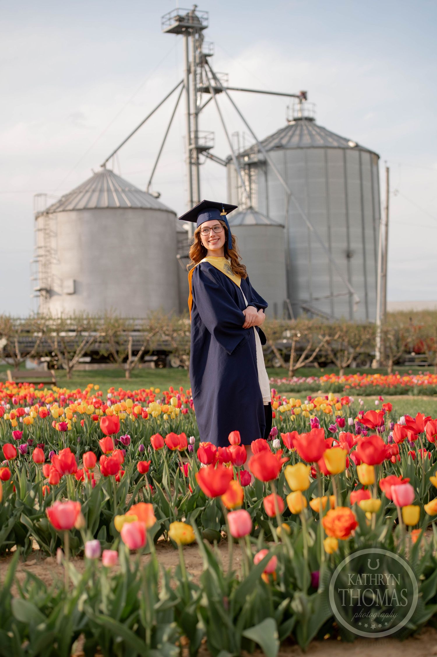 Colorful spring tulip field blooms in front of large industrial grain silos on a rural farm.