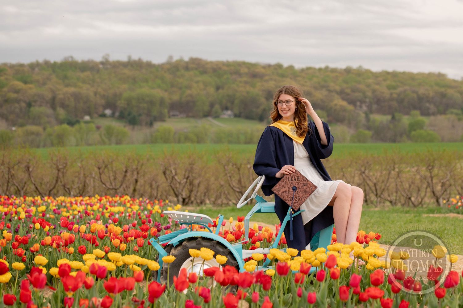 A person in a blue dress sits on a vintage bicycle surrounded by vibrant red and yellow tulips in a spring field.