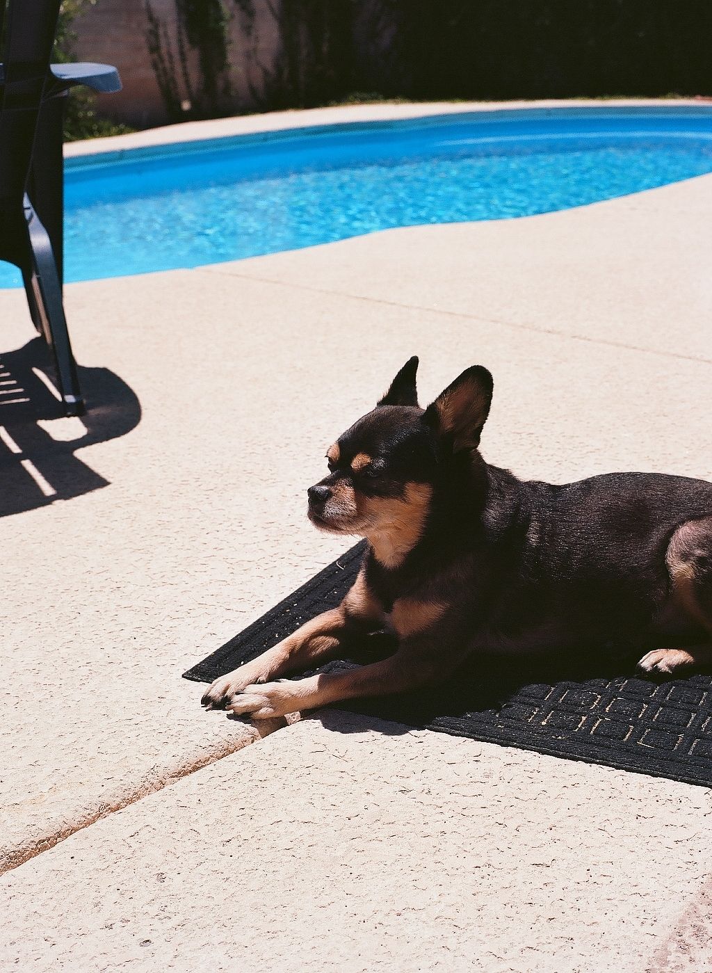 Bronson Poolside