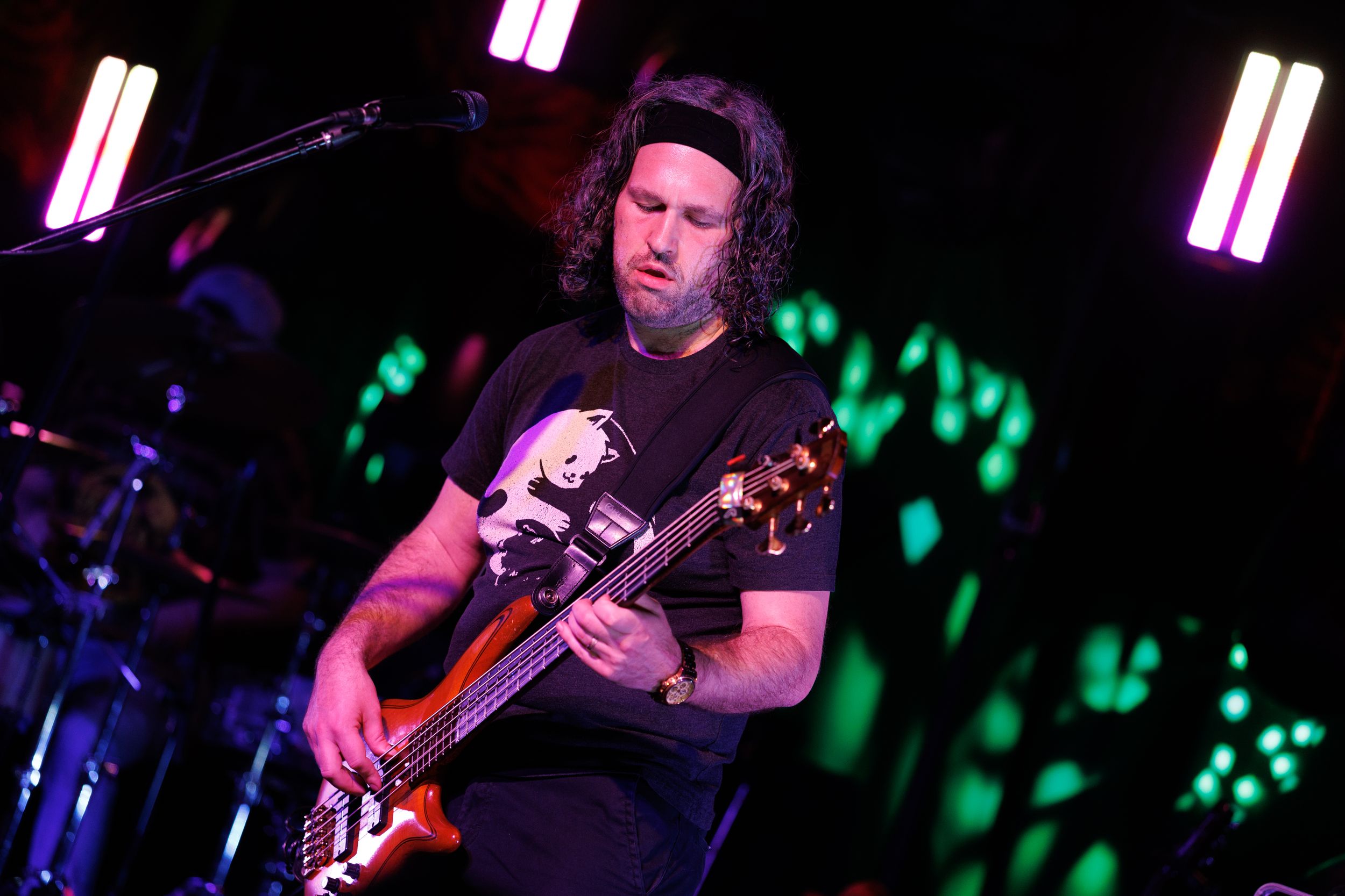 A musician performs on stage with a bass guitar against a backdrop of purple and green lighting effects.