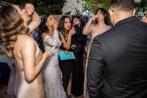Bride and wedding guests take celebratory shots together during lively outdoor reception party.
