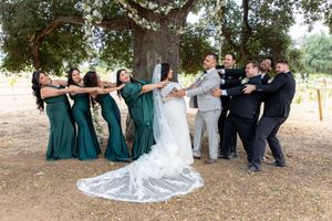 Wedding party plays tug of war with bride and groom under a large oak tree at vineyard.