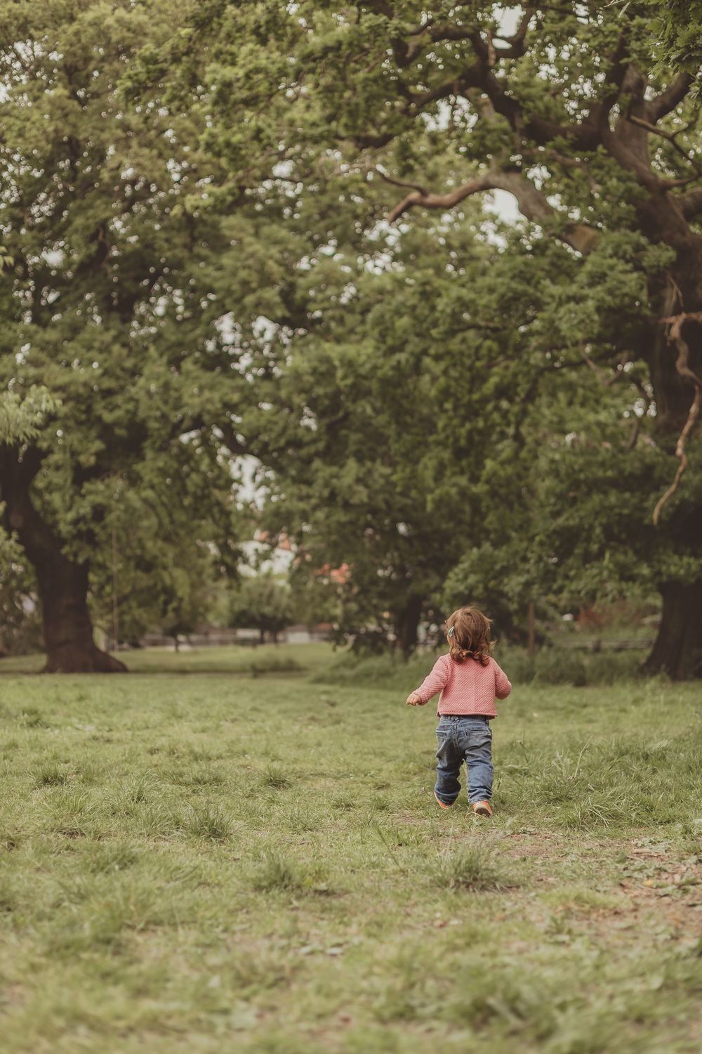 toddler in pink cardigan walks away from camera