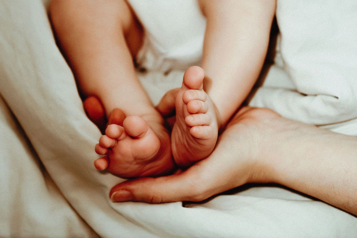 Close-up view of tiny baby feet being gently held by caring hands against a soft white background.