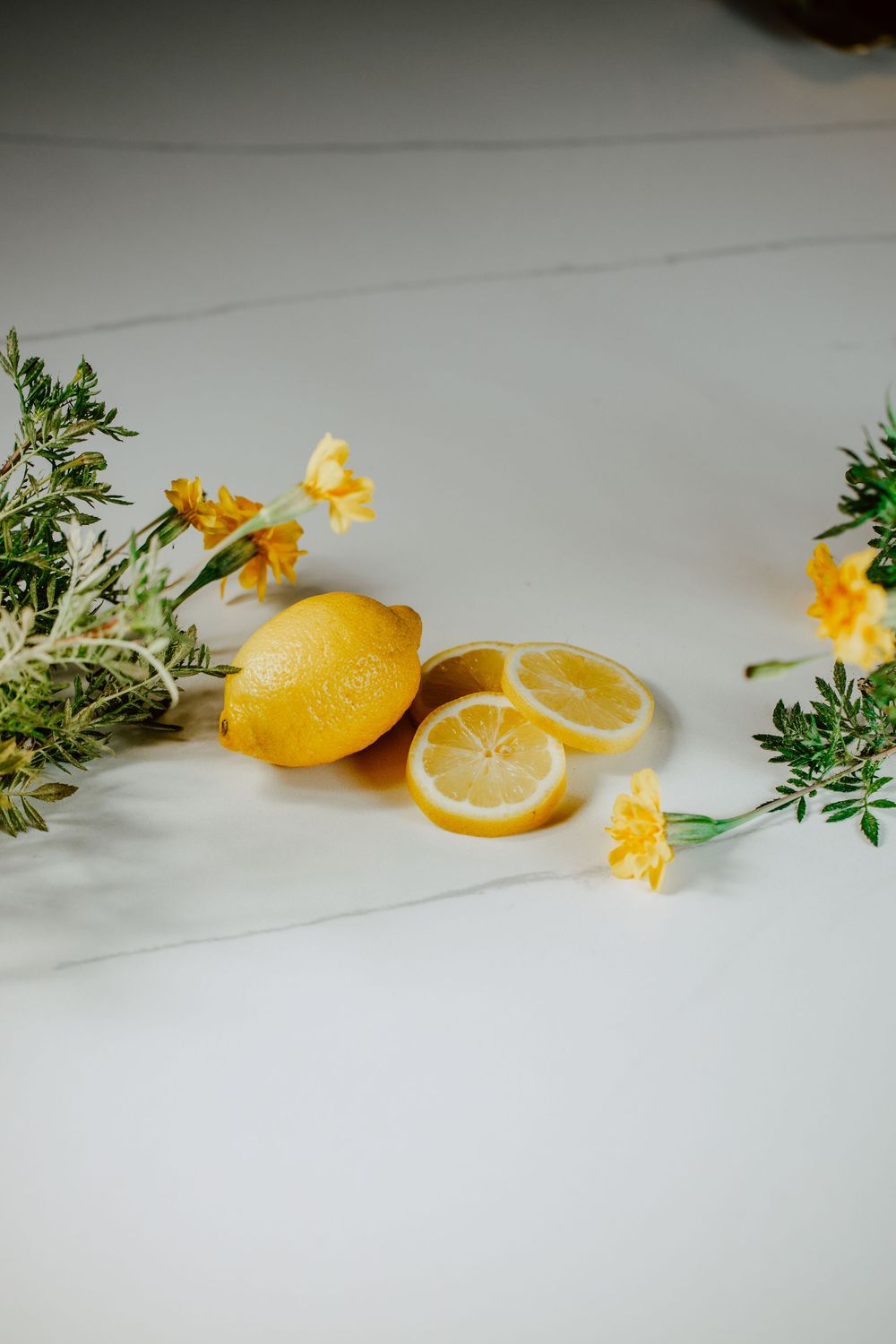 Lemon mint water; test product styled photoshoot