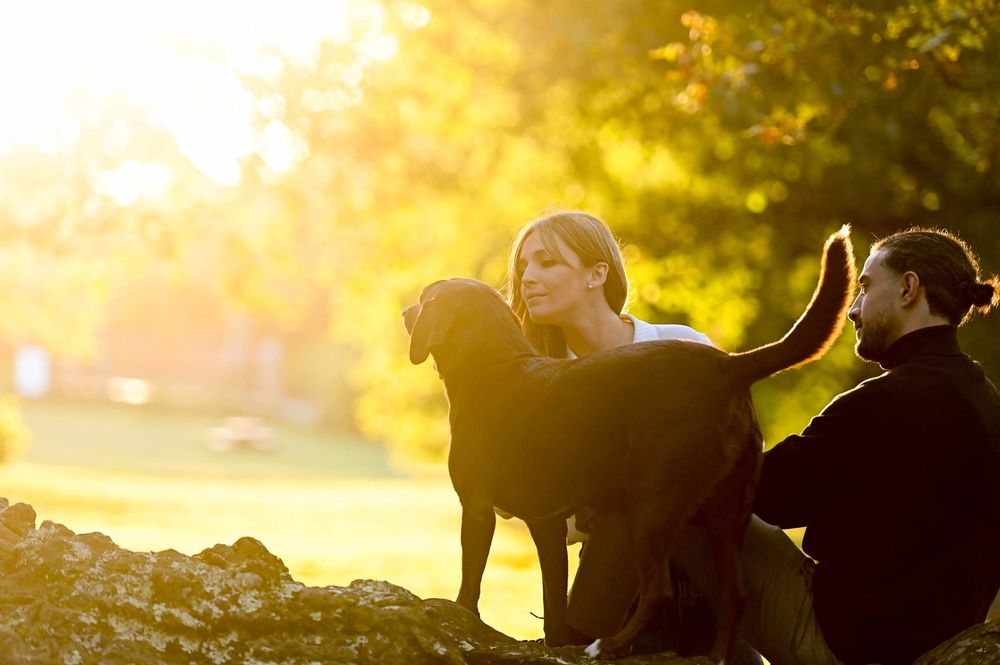 A silhouetted couple shares a romantic moment in a golden sunset with lens flare and backlighting.