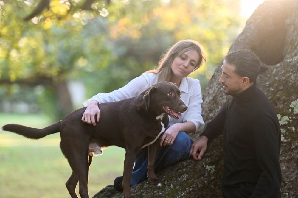 A black labrador retriever plays and interacts with people in a sunny outdoor park setting.
