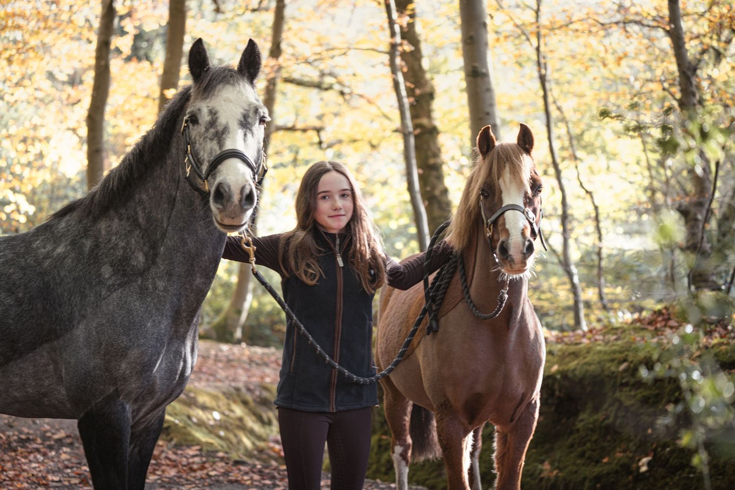A group of horses and their riders gather together in a wooded forest setting during autumn.