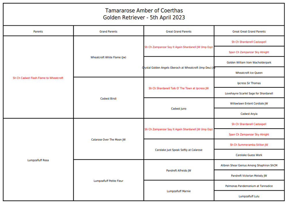 Blank pedigree chart template for recording canine ancestry information.