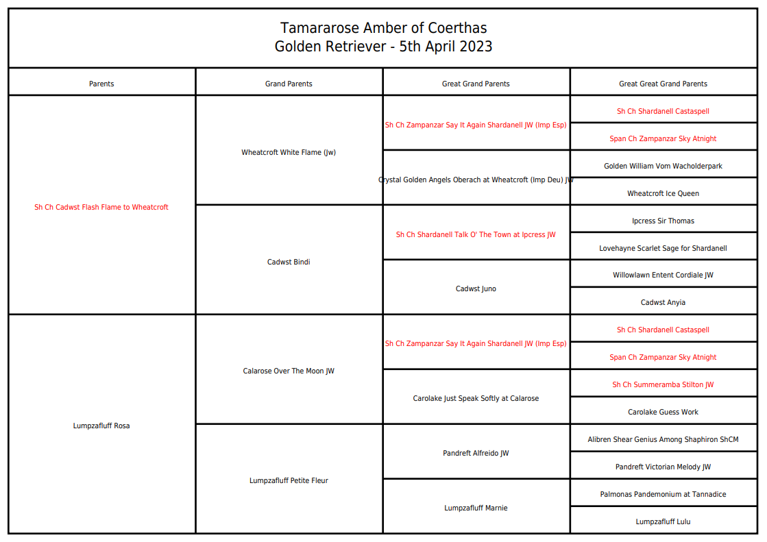 Blank pedigree chart template for recording canine ancestry information.