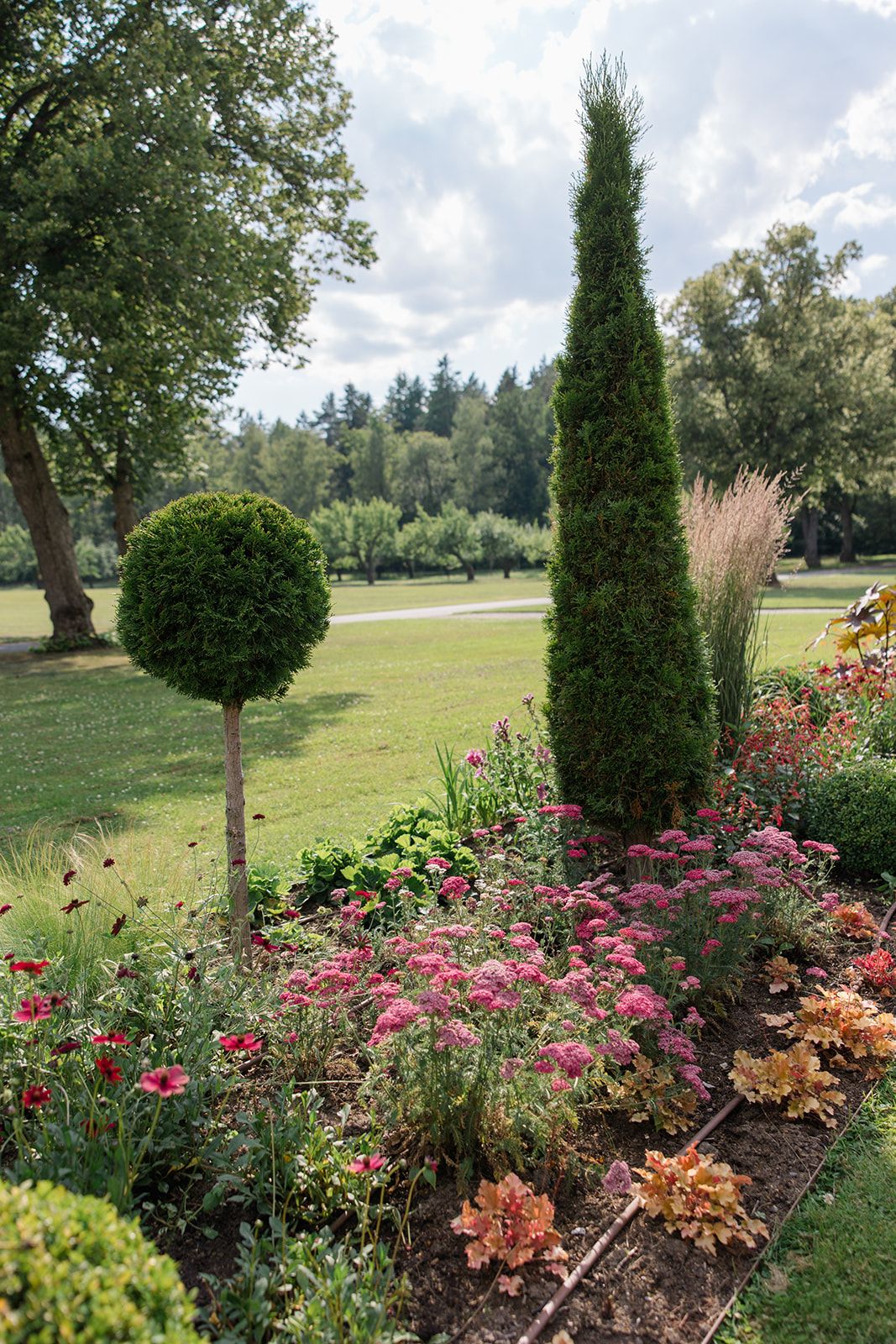 Landscaped garden bed featuring evergreen shrubs, pink flowers, and orange foliage against a grassy hillside backdrop.