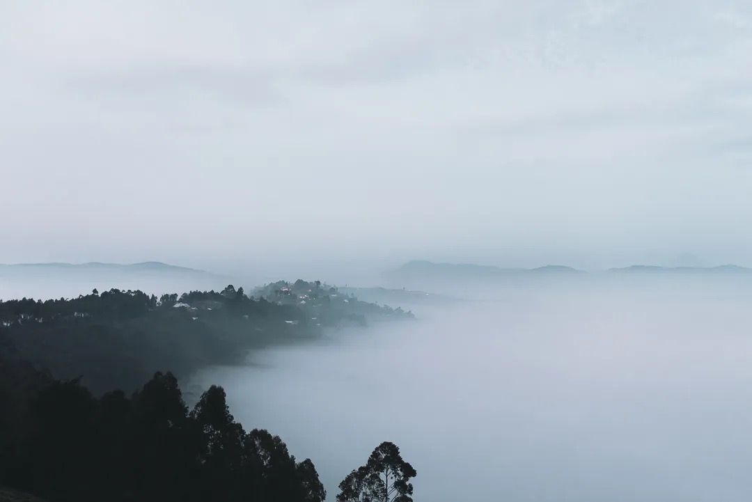 Thick morning mist covers the hills at sunrise, creating a calm, atmospheric landscape with soft light and rolling fog.
