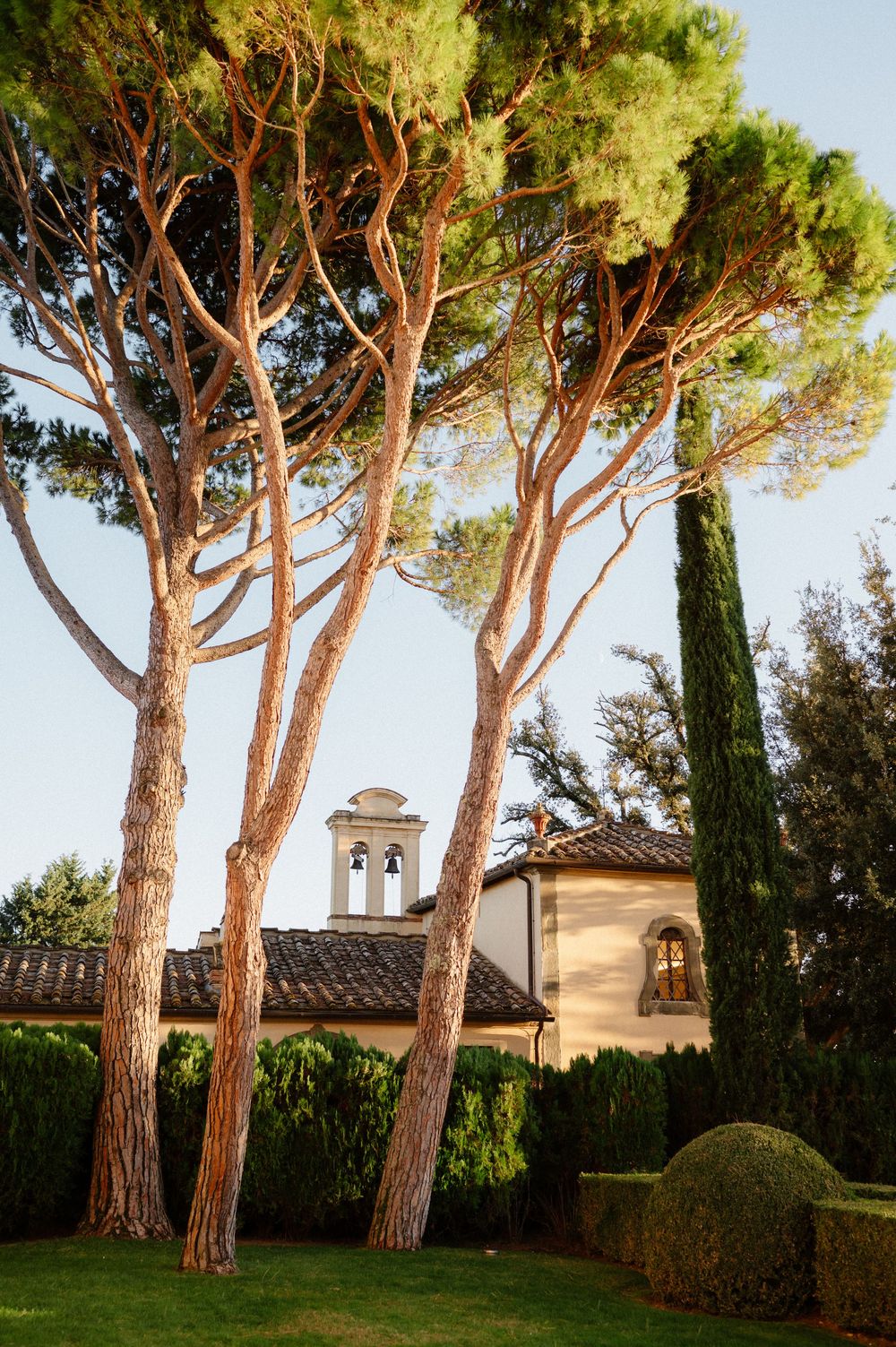 Tall Italian stone pine trees stand against a blue sky next to a Mediterranean villa with bell towers and hedges.