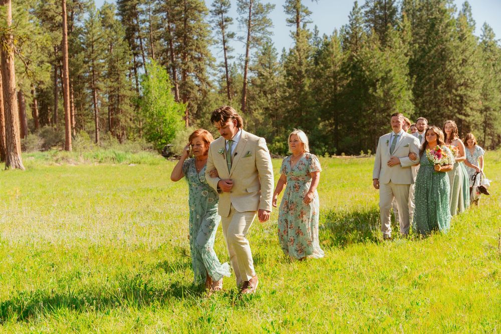 A group of wedding guests walking together through a sunny meadow surrounded by tall pine trees on a summer day.