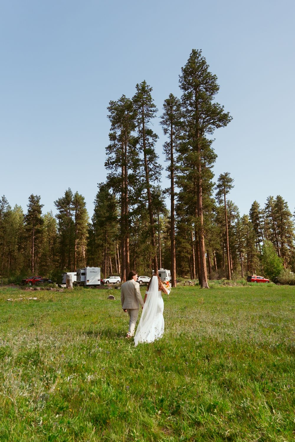 Panoramic view of a wedding ceremony in a serene mountain meadow surrounded by tall pine trees.