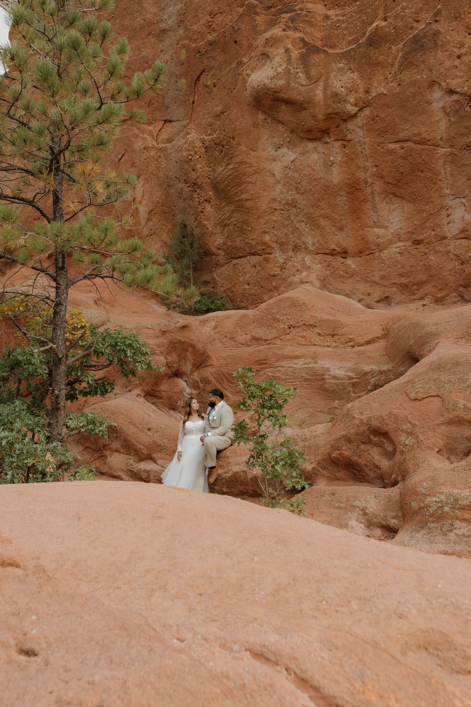 A sequence of rock formations showing erosion patterns and pine trees against reddish sandstone cliffs in a natural setting.