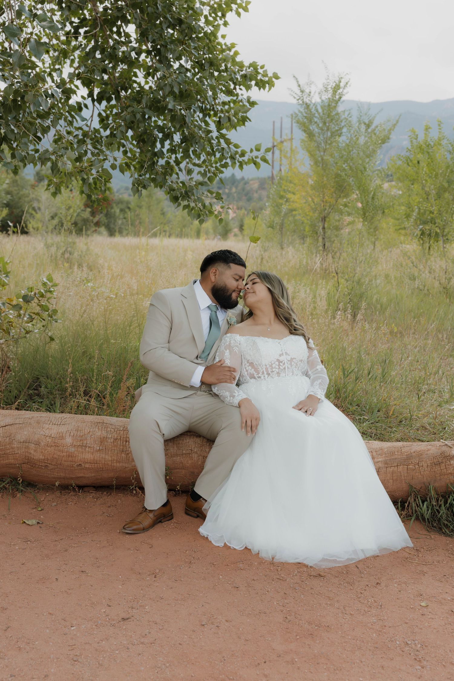 Romantic wedding couple sits together on fallen log in rustic outdoor setting with tall grass and mountains.