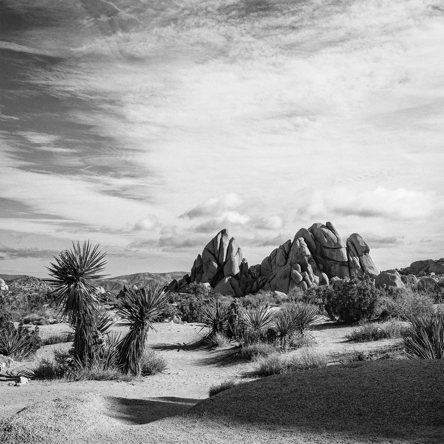 A dramatic black and white desert landscape with towering rock formations and yucca plants in Joshua Tree National Park.
