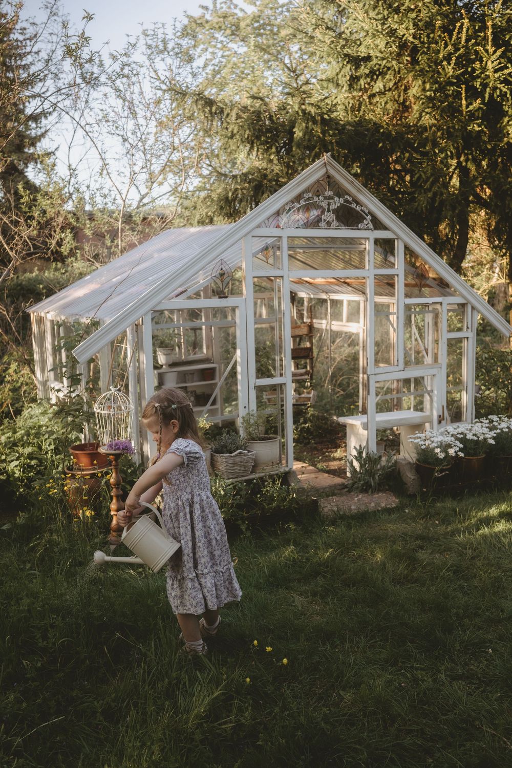 A series of greenhouse structures with white frames sits in a sunlit garden while someone waters plants on a summer evening.