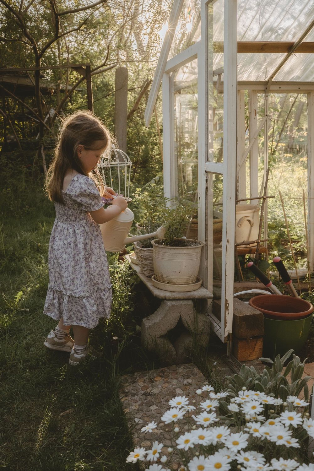 Child in floral dress waters plants in a sunlit garden greenhouse surrounded by white daisies and potted flowers.