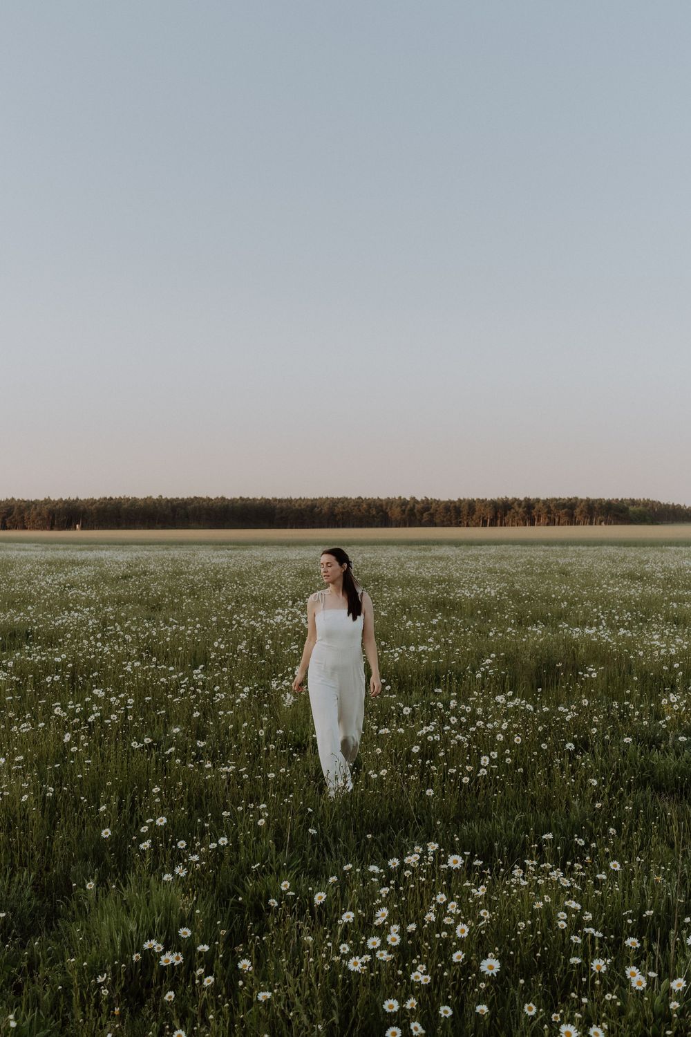 A solitary figure in white stands amid a field of blooming daisies at dusk.