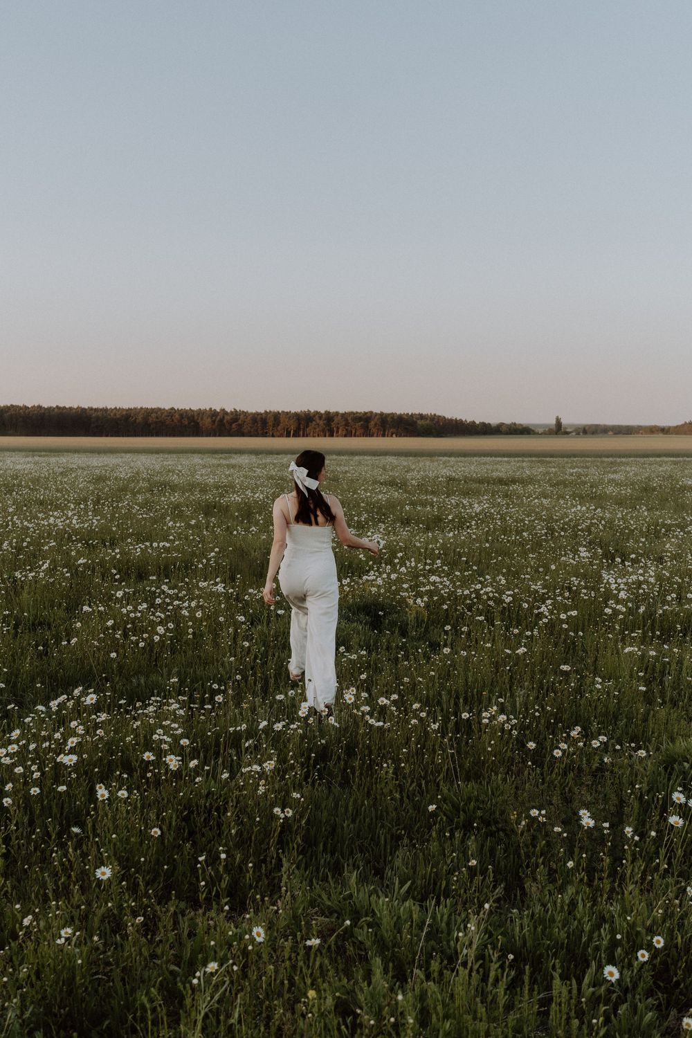 Ethereal view of someone in white walking through a vast field of blooming daisies against a distant treeline.