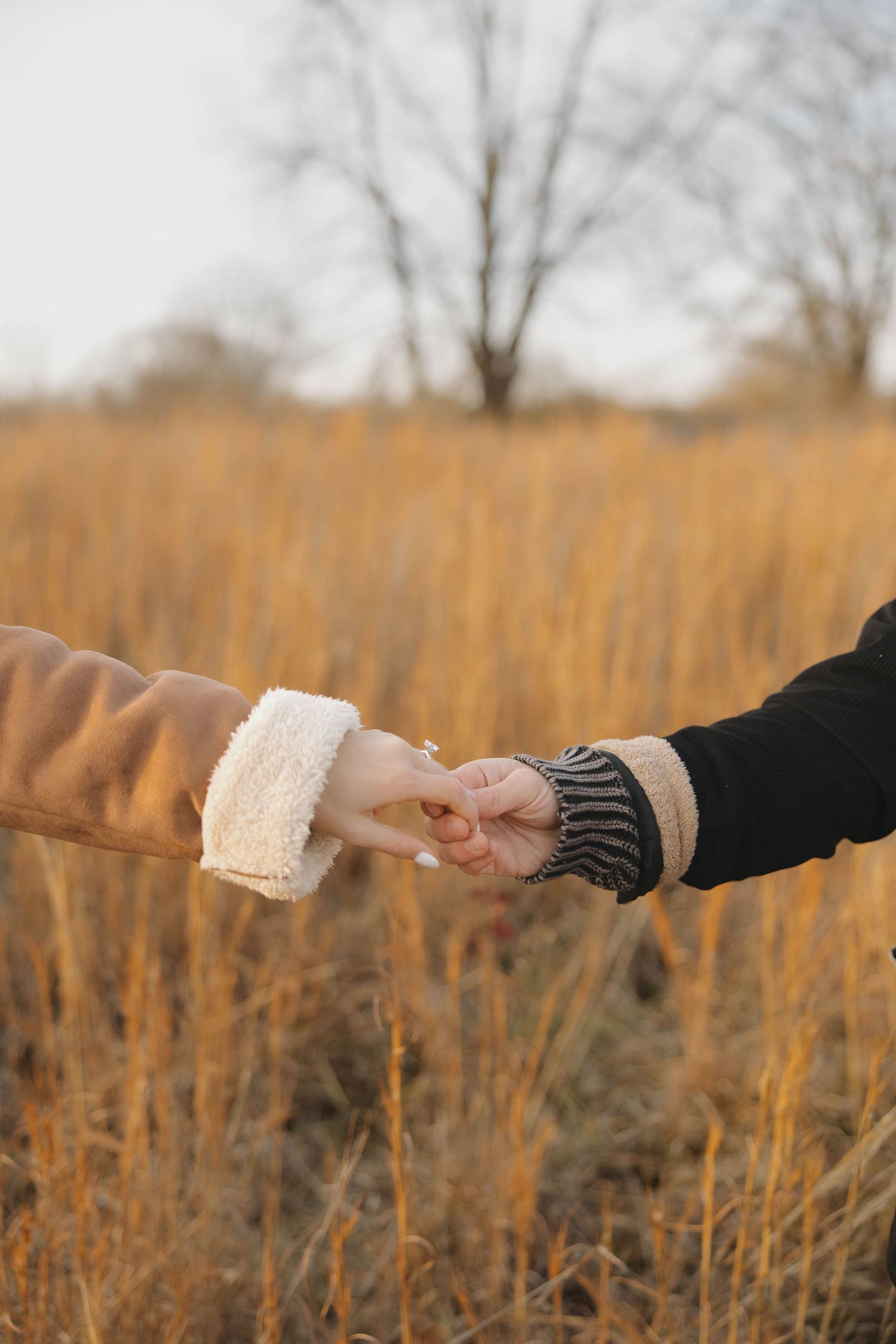 Close-up of two hands holding each other in a winter field with warm-toned grass and bare trees.