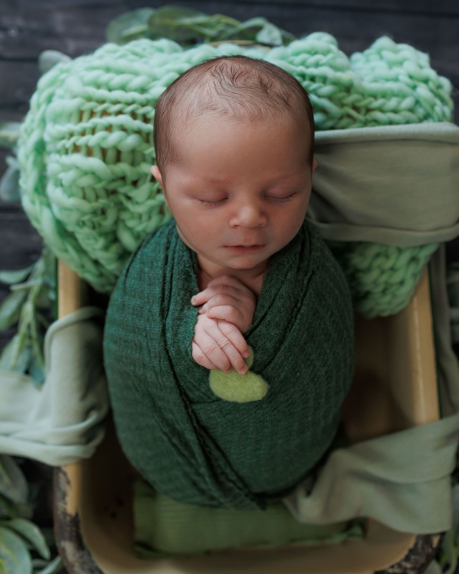 Individual newborn portrait during a twin newborn photography session in Michigan studio