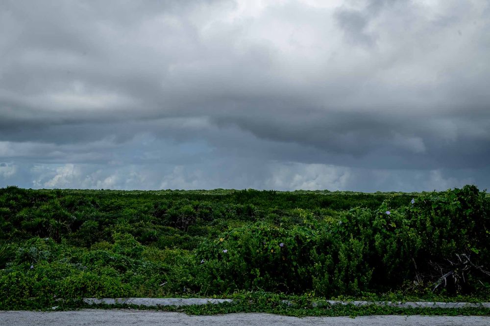 Dramatic cloudy sky over lush green tropical forest landscape stretching to the horizon.
