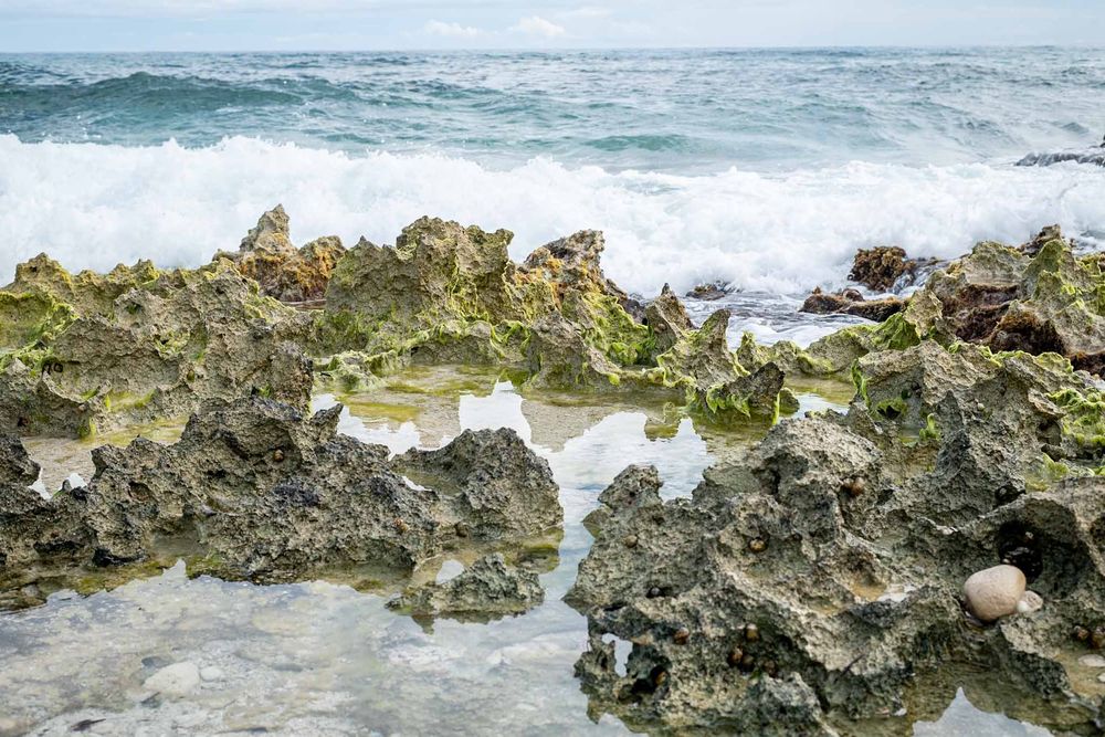 Rocky coastal tidepools with crashing waves and rugged coral formations along a tropical shoreline.